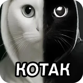🫥