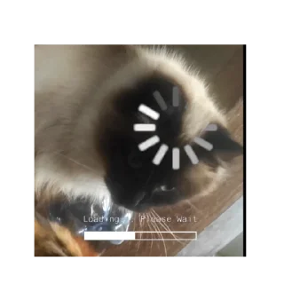 🤨