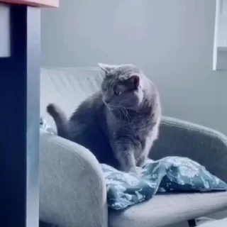 😡