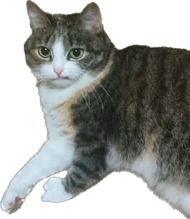 😐