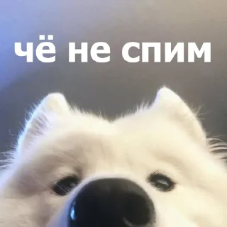 🥱