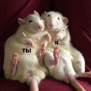 💉