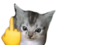 😠