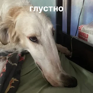 🥲