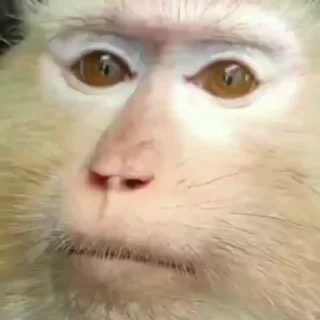 🤨