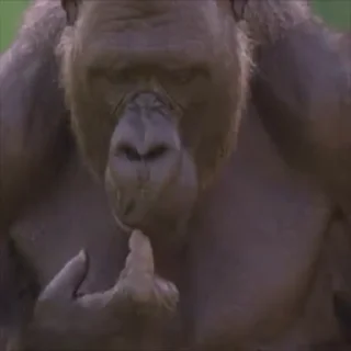 😨