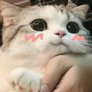 😠