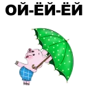 🐷