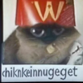 🍟