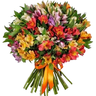 💐
