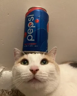 🥤