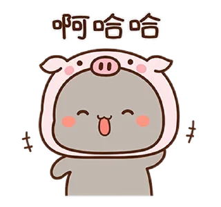 🐽
