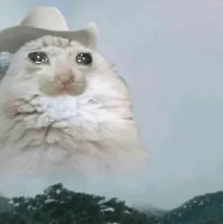 🥺