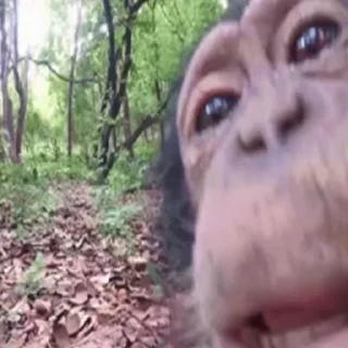 👅