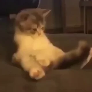 😯