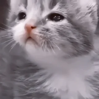 😭