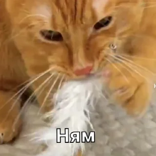 😄