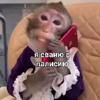 🤩