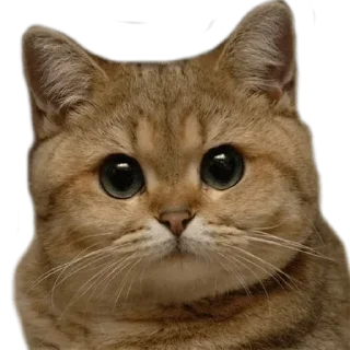 🙂