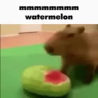 🍉