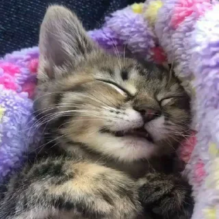 😴