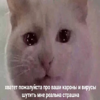 😭