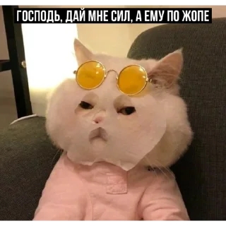 🙏