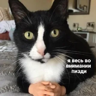 🙂