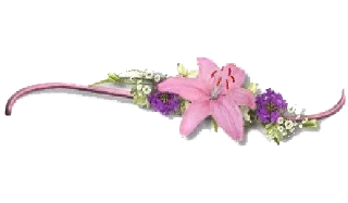 🌸