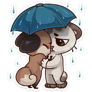 ☔️