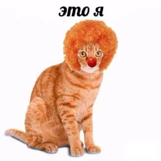 🤡
