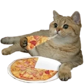 🍕