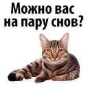 😊