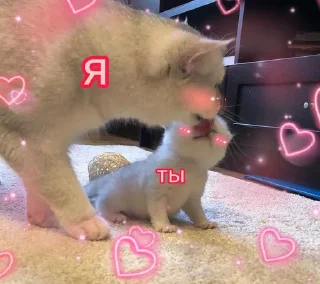 😊