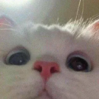 😳