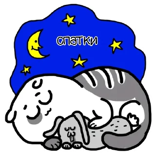 😴