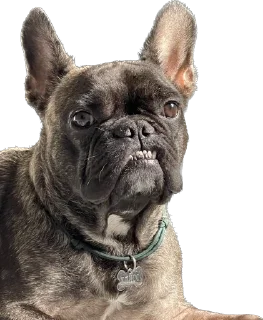 😎