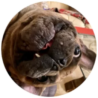 🤪
