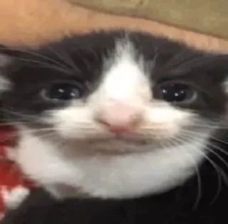 😪