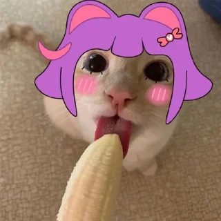 😻