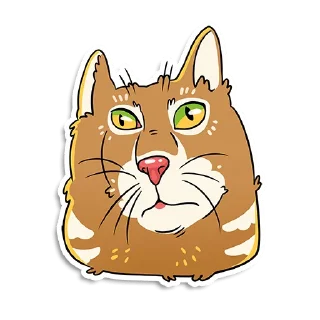 Котики и песики