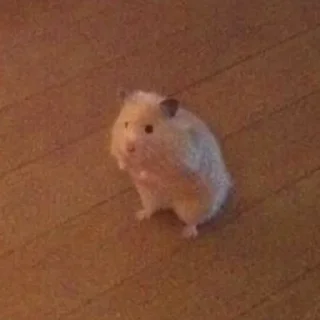 😳