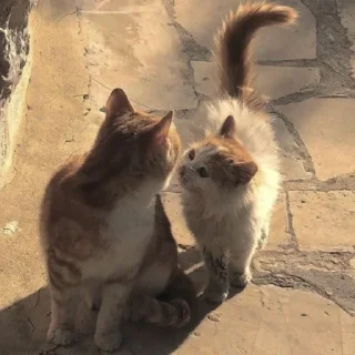 🥰