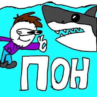 🦈