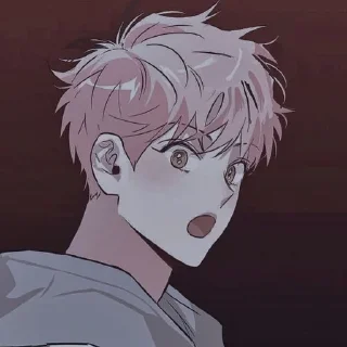 ✨