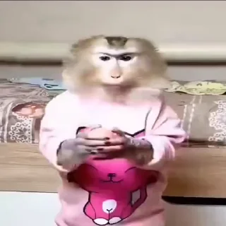 🤨