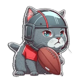 🏉