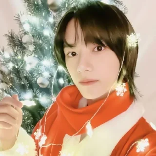 🎄