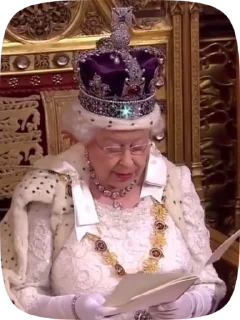 👑