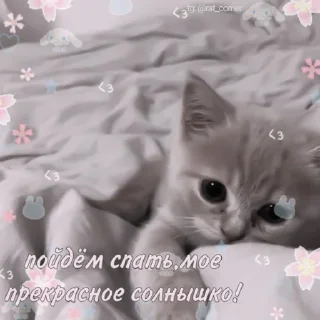 💞